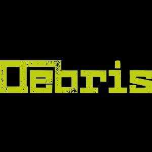 DEBRIS
