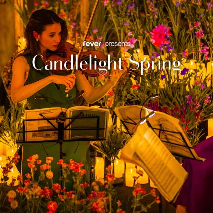 Candlelight Spring A Tribute to Beyonce