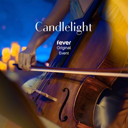 Candlelight A Tribute to Vivaldi at the Aquarium