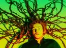 Ginger Roots