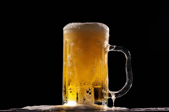 Beer Festival