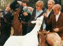 PET SOUNDS - Tribute To The Beach Boys