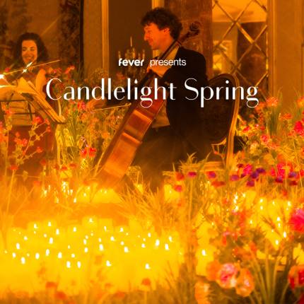 Candlelight Spring Queen vs Abba in der Musikhalle