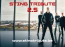 String Tribute 2.5