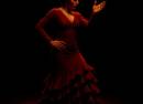 Goya Live Art & Café Teatro Flamenco