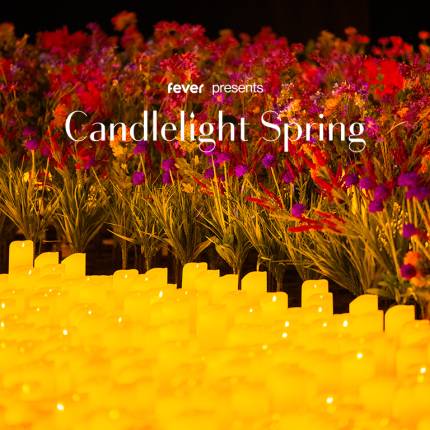 Candlelight Spring Rock, Nirvana, Led Zeppelin, Metallica ed altri