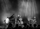 Avishai Cohen Trio