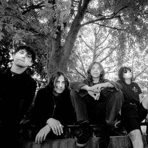 The Wytches