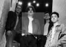 The Montaines
