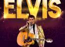 Emilio Santoro as ELVIS