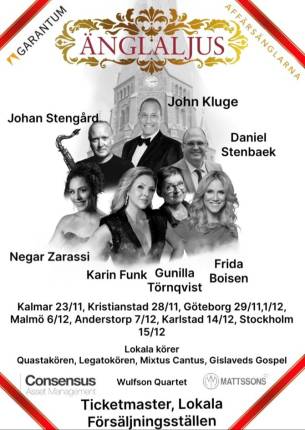 Julkonserten