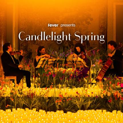 Candlelight Spring Coldplay vs Ed Sheeran in der Musikhalle