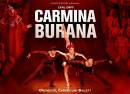 Carmina Burana - Ballet and Orchestra