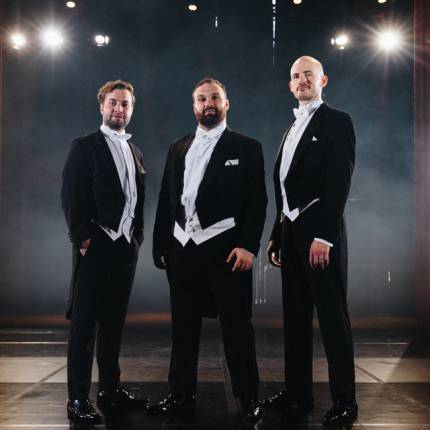 The Diamond Baritones