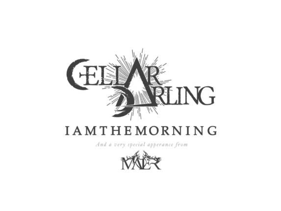CELLAR DARLING, IAMTHEMORNING, MAER