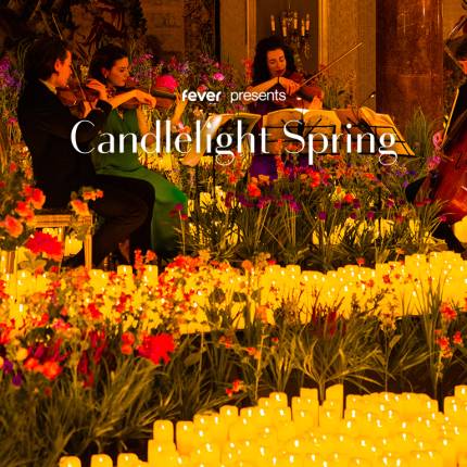 Candlelight Spring Coldplay vs. Ed Sheeran im Kurhaus