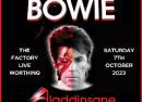 Aladdinsane