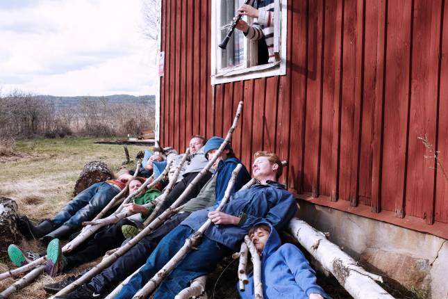 Den Svenska Bjornstammen