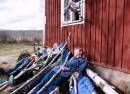 Den Svenska Bjornstammen