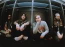 The Used