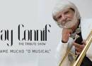 Tribute To Ray Conniff