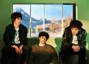 Wallows