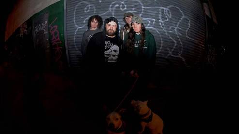 Apes of the State