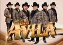Los Avila
