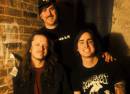 Wicked Bears