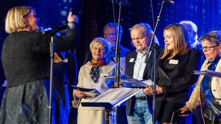 Halden Demenskor