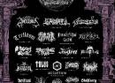 Cosmic Void Festival