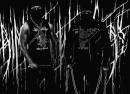 Primitive Warfare