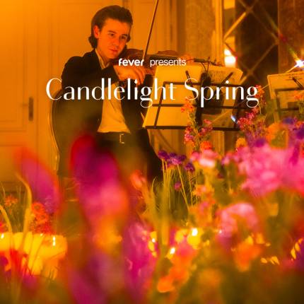 Candlelight Spring The Best of Anime