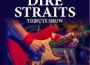 One Night of Dire Straits