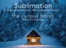 The Curious Bards