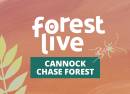 Cannock Chase Forest