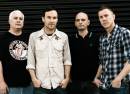 Toadies