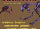 Sabertooth
