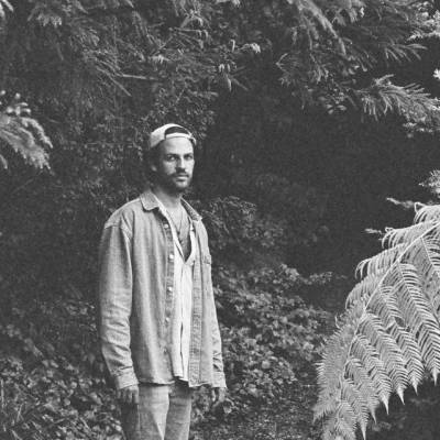 Worries And Other Plants
