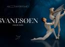 Svanesøen – The Ukrainian Classical Ballet