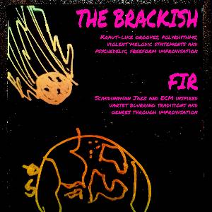 The Brackish & FIR