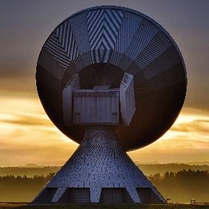 Carbon Based Lifeforms