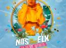 Nits de Festa Elx