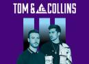 Tom & Collins