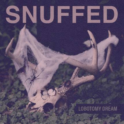 Snuffed