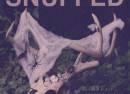 Snuffed