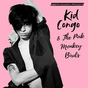 Kid Congo & the Pink Monkey Birds