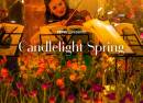 Candlelight Spring Tribute to Whitney Houston