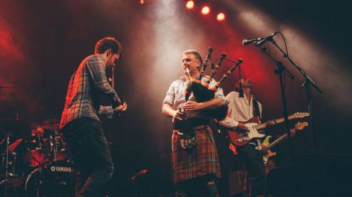 Peatbog Faeries