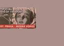 Artificial Brain